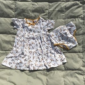 Hanna Andersson seagull dress and bloomers 90